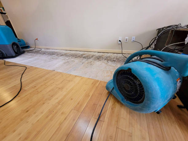 Professional Water Damage Repair technician working in Illinois, IL